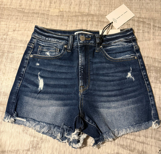 Raw Frayed Hem Ripped Denim Shorts